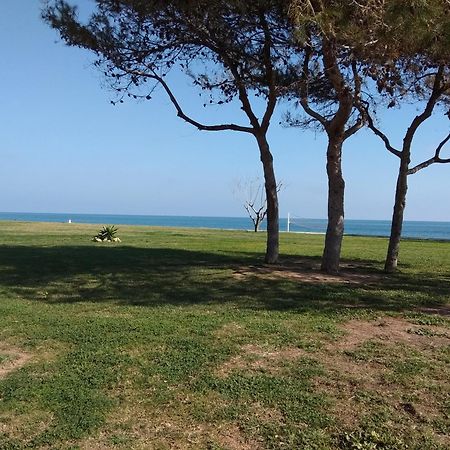 شقة Acv- Acapulco Iv-1ª Linea Planta 2 Sur أوروبيسا ذيل مار المظهر الخارجي الصورة